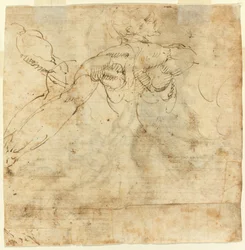 Studio di una schiena