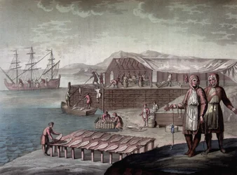 Pesca del merluzzo fatta dagli abitanti di Terranova - in Le costume ancien et moderne di Ferrario, ed. Milano