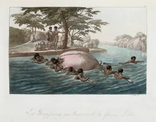 Residenti di Zanzibar che attraversano il fiume Lebee a nuoto - in "Il costume antico e moderno" di Ferrario, ed. Milano