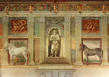 Sala grande dei cavalli, con affreschi dei cavalli preferiti dai Gonzaga ... (affresco)