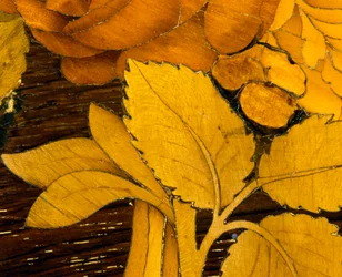 Foglie (dettaglio)
