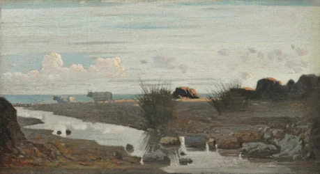 Lido con buoi al pascolo