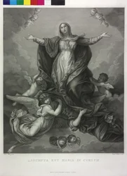 Assunzione della Beata Vergine Maria