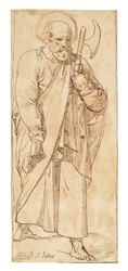 Dodici studi degli apostoli