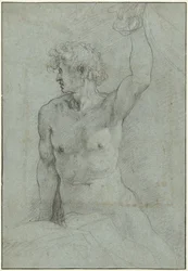 Studio di nudo di giovane uomo seduto