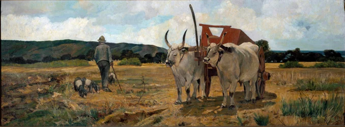 Paesaggio in Maremma