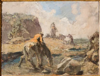 Il guado