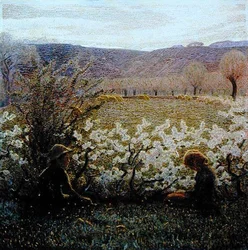 Campo in fiore