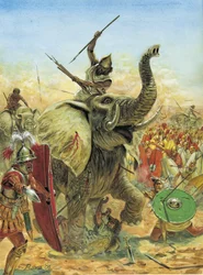 Seconda guerra punica: la Battaglia di Zama (202 a.C.) gli elefanti cartaginesi