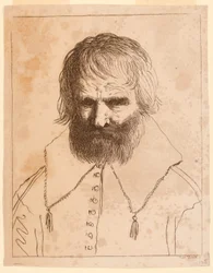 Testa di un uomo