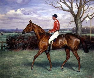 Un cavallo da steeplechase con fantino