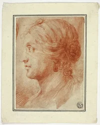 Busto di donna di profilo a sinistra
