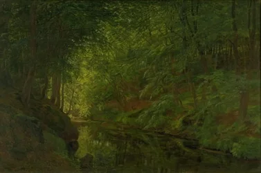 Un ruscello nel bosco di Sæbygaard, Vendsyssel, Jutland