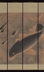 Carpa, senza data