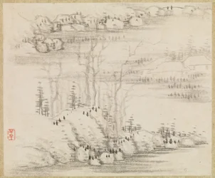 Paesaggi e alberi