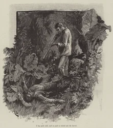 Uma, o la spiaggia di Falesa, di Robert Louis Stevenson