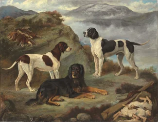 Sherry, Ranger e Glen, tre cani da caccia in un paesaggio