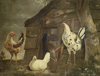 Pollame (olio su tela)