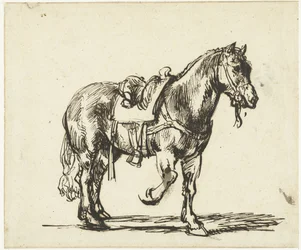 Cavallo del Buon Samaritano