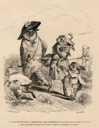 Due piccoli lepri con la loro sorella maggiore fermati da un gufo in un campo. Una volpe che caccia si trova dietro di loro. Vignette illustrate da JJ Granville. Incisione firmata Breviere nella parte "Histoire d