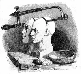 Illustrazione per 