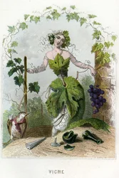 Illustrazione per 