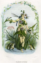 Illustrazione per 
