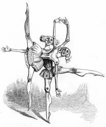 Illustrazione per il romanzo 