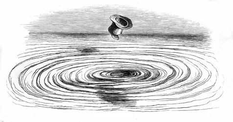 Illustrazione per il romanzo 
