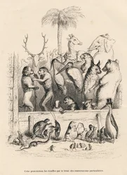Conversazione tra animali