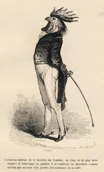Gallo abituato alla barriera di combattimento che cammina fieramente. Vignette illustrate da JJ Granville. Incisione firmata Caque nella parte "Storia di una lepre" scritto da PJ Stahl in "Scene della vita privata e pubblica degli animali". Parigi, J. Hetz