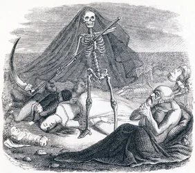 La morte e il morente - Favole di La Fontaine