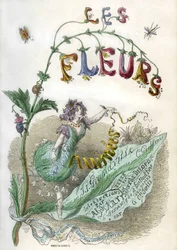 Frontespizio del libro "Les Fleurs animées", illustrato da Grandville, incisione colorata con stencil. Edizione Gonet 1857