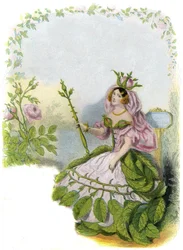 Illustrazione per 