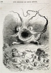 Les amours de deux bêtes (mostro spaventoso) - in "Animali dipinti da loro stessi: vita privata e pubblica degli animali" di Grandville, capitolo di Honoré de Balzac, ed. Hetzel