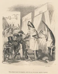 Gli squali medici spiegano il loro intervento chirurgico. Vignette illustrate da JJ Granville. Incisione firmata Godard nella parte intitolata "Les animaux medecins" scritta da Pierre Bernard in "Scenes de la vie privee et publique des animaux". Paris