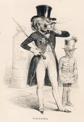 Leone di Parigi. Vignette illustrate da JJ Granville. Incisione firmata Andrew, Best e Leloir nella parte intitolata "Viaggio di un leone d