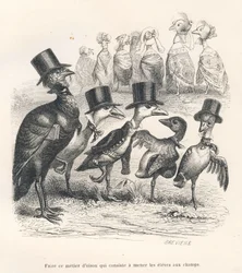 Mestiere di un giovane papero consistente nel condurre gli allievi nei campi. Le oche si allontanano dal loro piccolo. Vignette illustrate da J. J. Granville. Incisione firmata Brévière nella parte intitolata «Guida asino a uso degli animali che vogliono