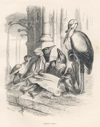 Morte di un corvo accanto alla sua famiglia e a una cicogna. Vignette illustrate da JJ Granville. Incisione firmata Breviere nella parte intitolata "Ricordi di una vecchia cornacchia" scritto da PJ Stahl in "Scene della vita privata e pubblica degli animal