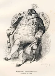 Pavone seduto sulla sua poltrona. Vignette illustrate da JJ Granville. Incisione firmata Porret nella parte intitolata "Guida-asino per gli animali che vogliono raggiungere gli onori" scritto da Honoré De Balzac in "Scene della vita privata e pubblica degl