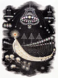 Peregrinazioni di una cometa - incisione di Grandville, fine del XIX secolo
