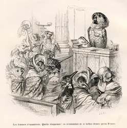 Pappagallo eloquente. Vignette illustrate da J. J. Grandville. Incisione firmata Porret nella parte intitolata «Guida-asino ad uso degli animali che vogliono giungere agli onori», scritta da Honoré de Balzac in «Scene della vita privata e pubblica degli