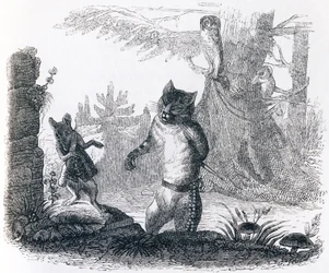 Il gatto e il topo