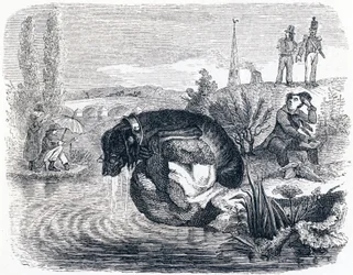 Il cane che abbandona la preda per la sua ombra - Favole di La Fontaine
