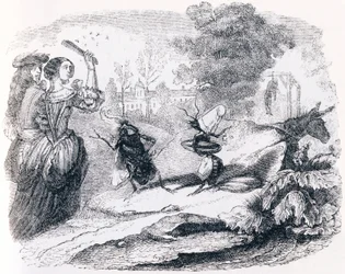 La mosca e la formica (La mouche et la fourmi) - Favole di La Fontaine