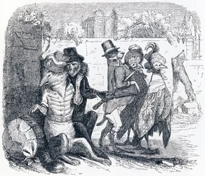 La volpe e l