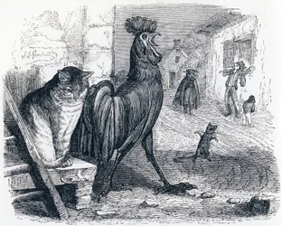 Il gallo, il gatto e il topolino (Le cochet, le chat et le souriceau) - Favole di La Fontaine