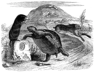 La lepre e la tartaruga: favola di La Fontaine illustrata da Grandville