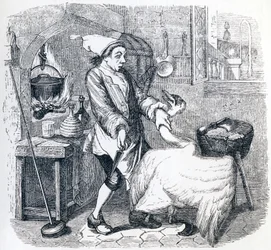 Il cigno e il cuoco - Favole di La Fontaine