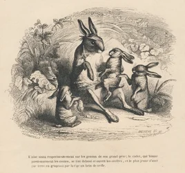 Tre bambini conigli che ascoltano il loro nonno ferito raccontare storie. Vignette illustrate da JJ Granville. Incisione firmata Breviere nella parte "Storia di una lepre" scritto da PJ Stahl in "Scene della vita privata e pubblica degli animali". Parigi